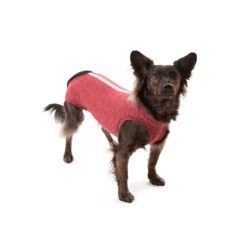 Faja Posquirurgico Para Mascotas XS