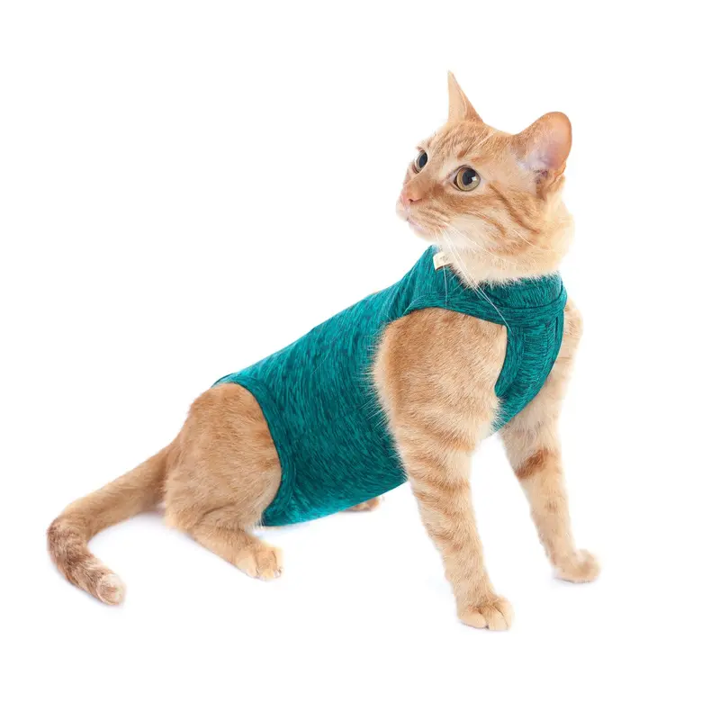 Faja Posquirurgico Para Mascotas XXS