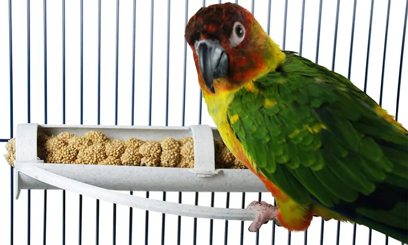 feathersmart horizontal Millet soporte