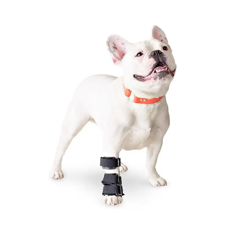 Ferula Carpiana Para Perro Walkin’ Carpal Splint de Walkin' Pets