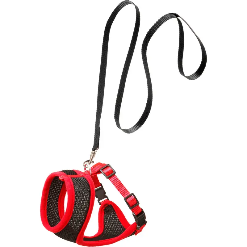 Flamingo Gato Negro Rojo