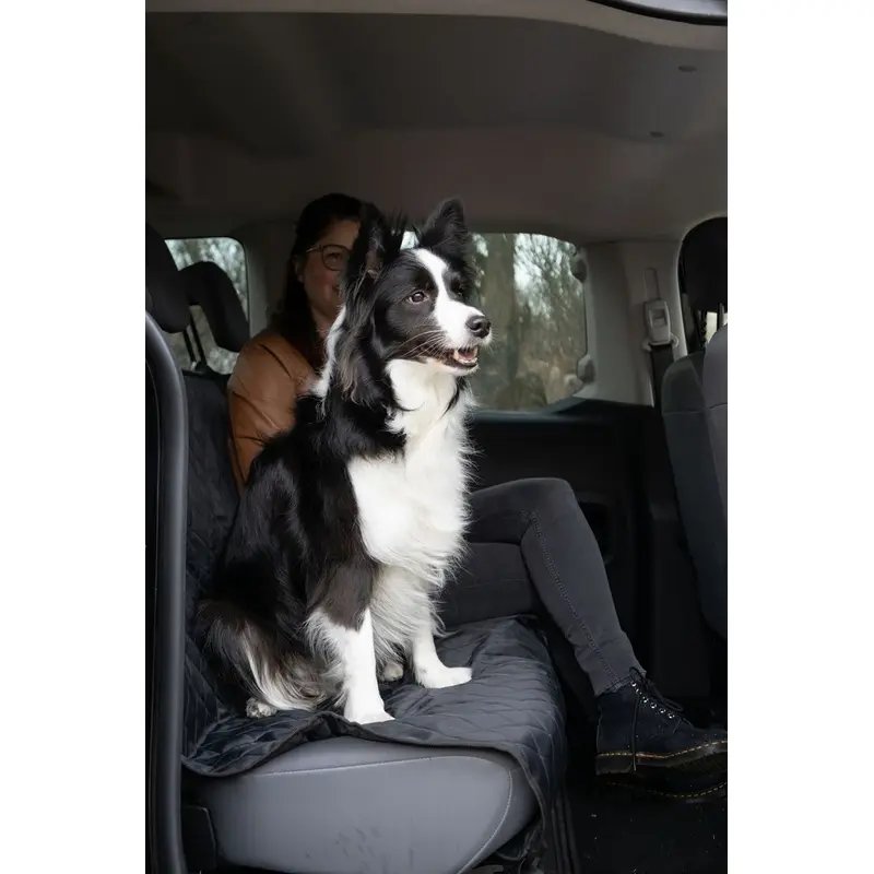 Flamingo Protector Negro Kia para Asiento Trasero del coche