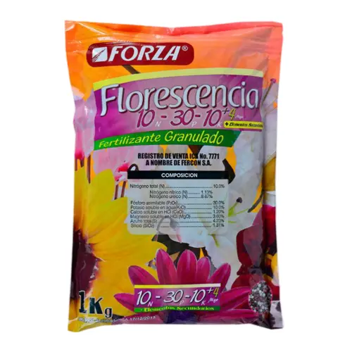 FLORESCENCIA X KILO