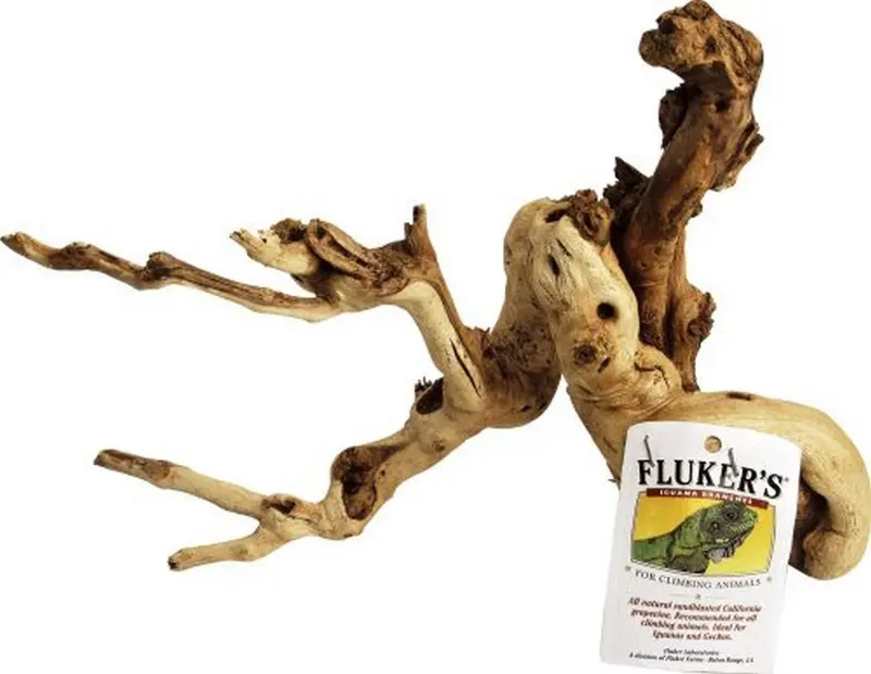 Fluker's Iguana Branch