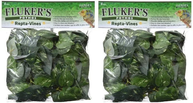 Flúor de Pothos Repta Vines para Reptiles y Anfibios