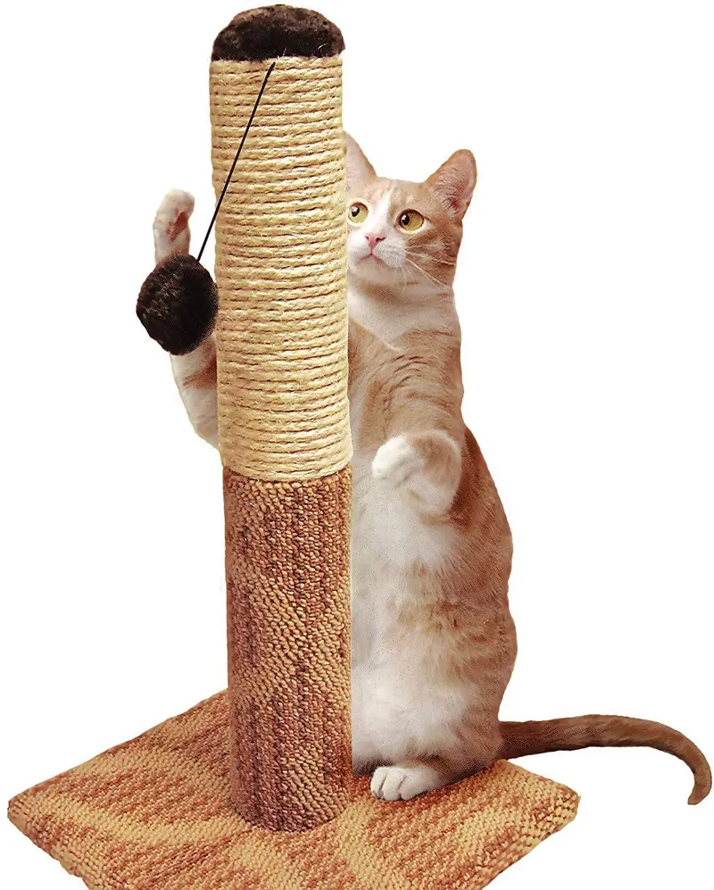 Four Paws Super Catnip - Alfombra y poste rascador de sisal para gatos