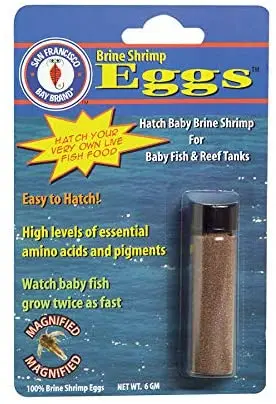 Frasco de huevos de camarones salados San Francisco Bay ASF65031 para peces bebé y tanques de arrecife, 0.21 onzas, Paquete de 1