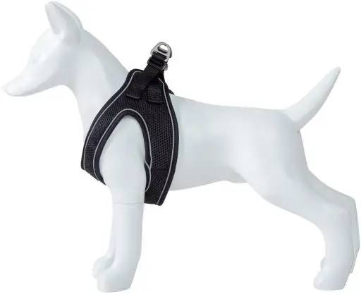 FREEDOG ARNES SOFT NEGRO L 50-65CM