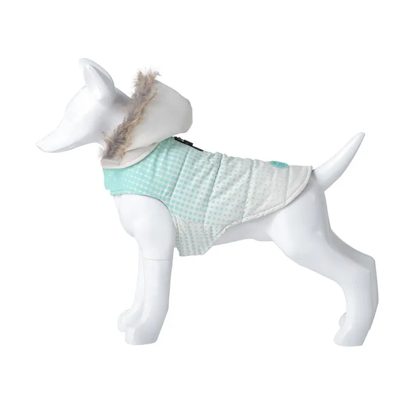 Freedog Blue Dot