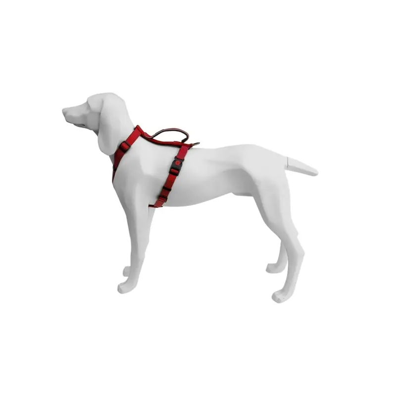 Freedog Extreme Rojo