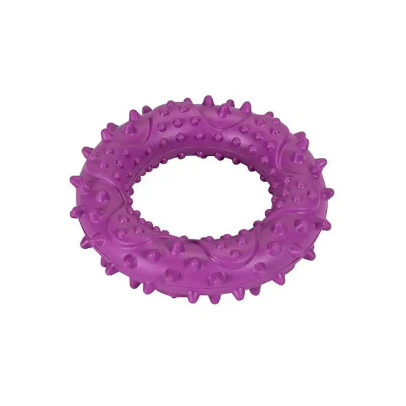 Freedog Goma Hoop Violeta 9,2x9,2x2,4 cm