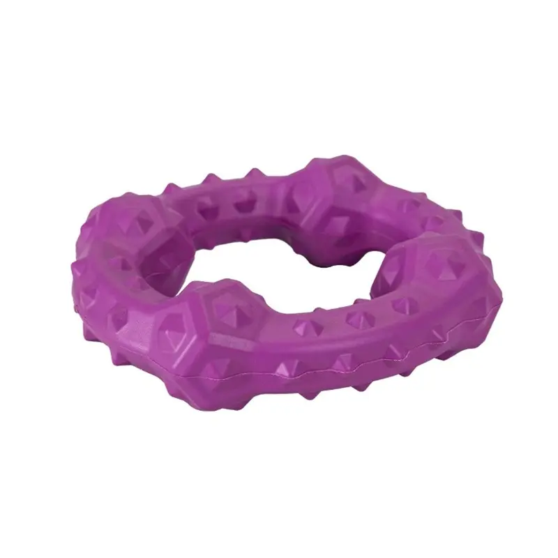 Freedog Goma Roundabout Violeta 11,4x11,4x3,1 cm