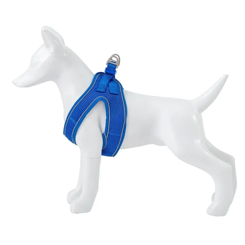 Freedog Soft Azul Oscuro