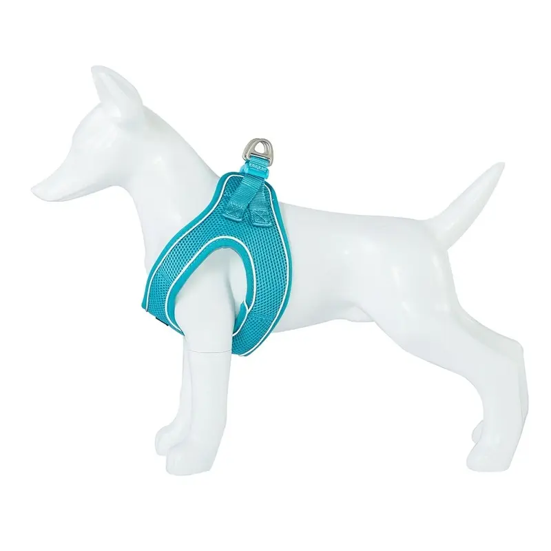 Freedog Soft Azul Turquesa