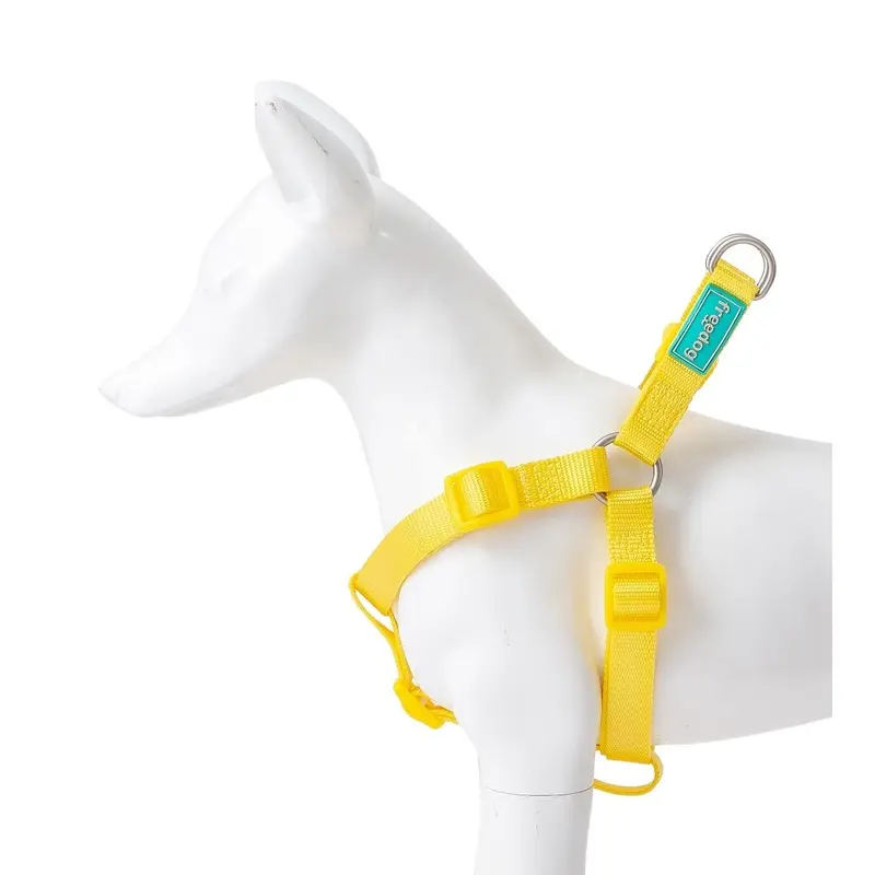 Freedog Tipo a Amarillo