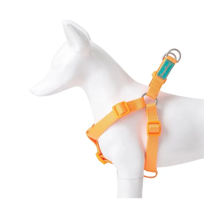 Freedog Tipo a Naranja