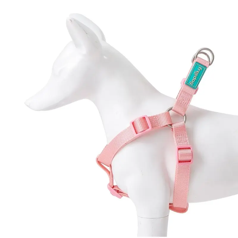 Freedog Tipo a Rosa