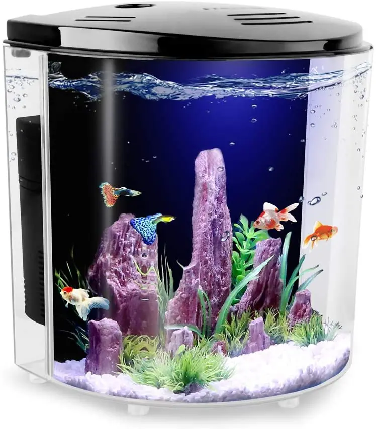 Freesea tanque de peces Betta de 1,4 galones con luz LED y bomba de filtro