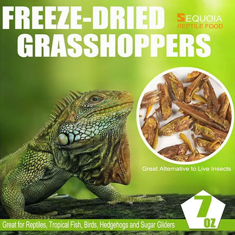 Freeze – Mascota seca para gallinas, patos, aves silvestres, lagarto, tortugas, hámsters, pescado, camaleón y erizos