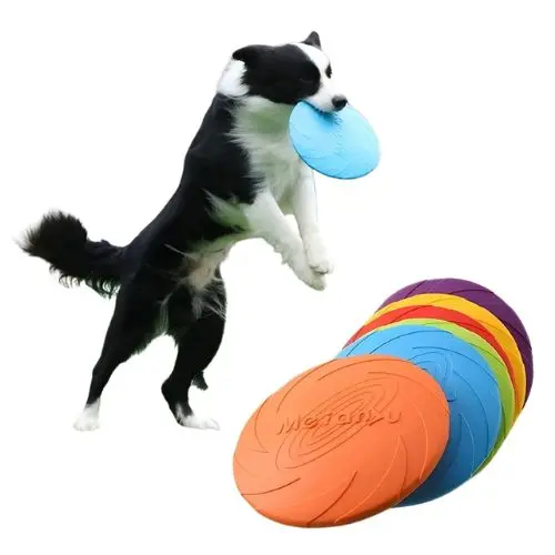 Frisbee para perros