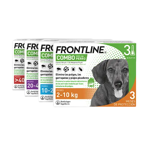 FRONTLINE COMBO PERRO