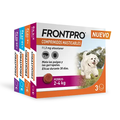 FrontPro
