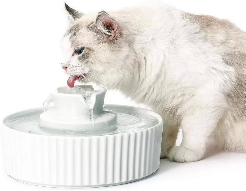 Fuente de agua de cerámica para mascotas Cepheus 360, fuente avanzada de agua de porcelana para gatos, 70 onzas. Fuente de agua para beber para gatos y perros con filtros de repuesto y espuma (blanco)