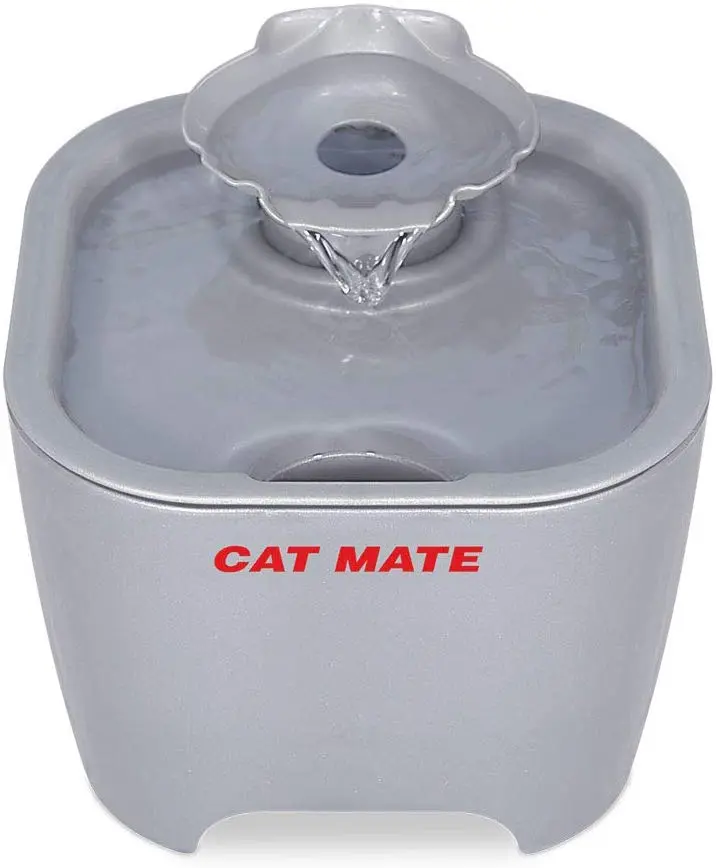 Fuente de cáscara de gato mate 100 Fl Oz.