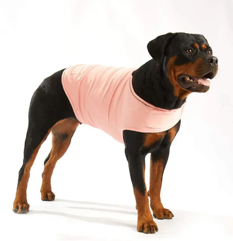 Furubaby Ansiety - Abrigo para perro con camisa, para perros pequeños, medianos, grandes, XL, color sólido, azul, gris, verde, rosa, rosa (rosa)
