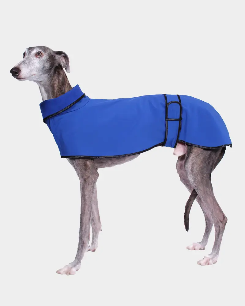 GABARDINA WATERPROOF AZUL - GALGO