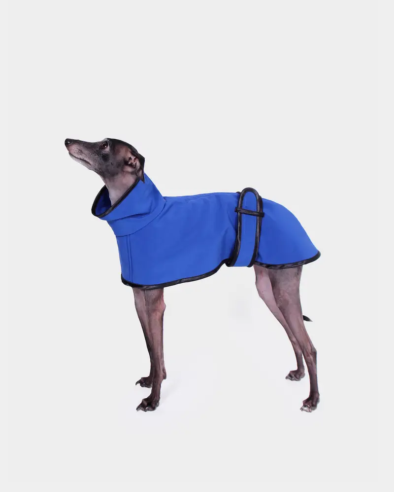 GABARDINA WATERPROOF AZUL - IGGY