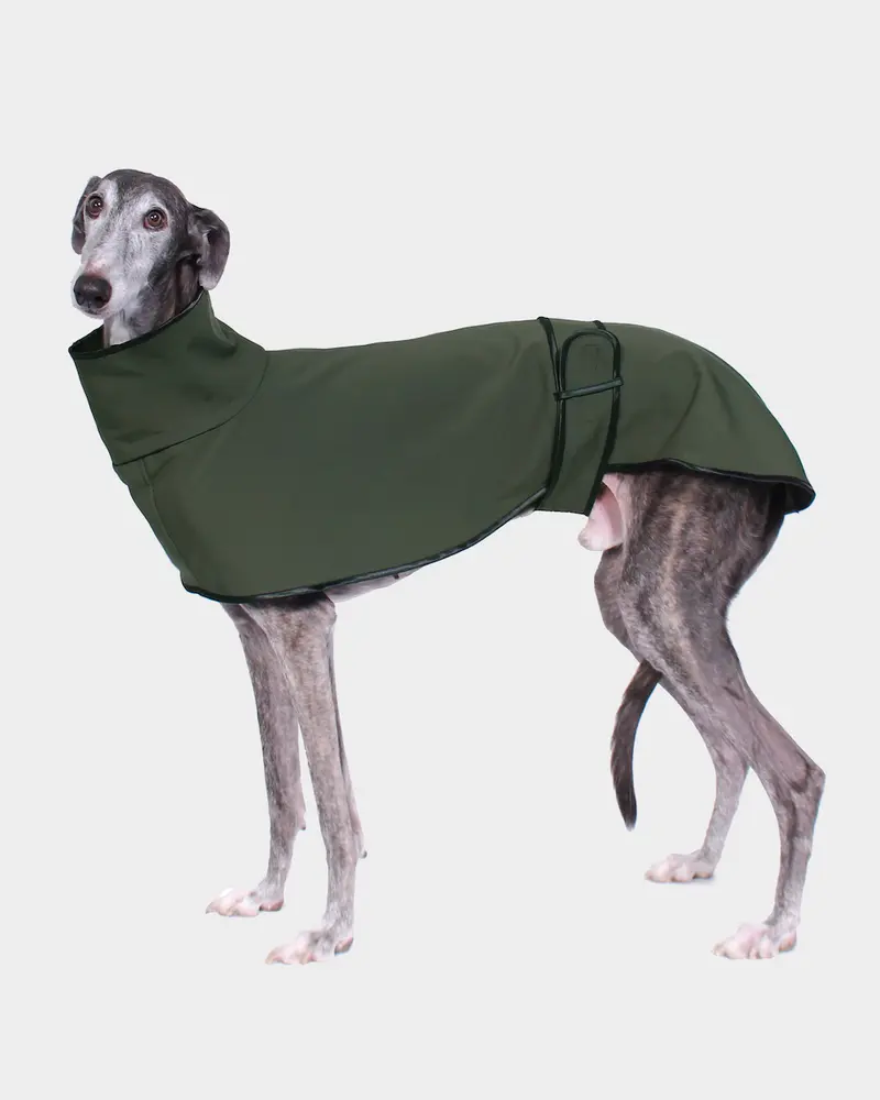 GABARDINA WATERPROOF VERDE - GALGO