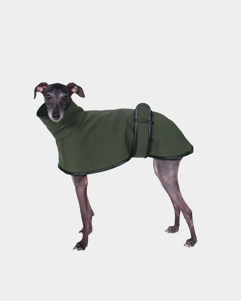 GABARDINA WATERPROOF VERDE - WHIPPET