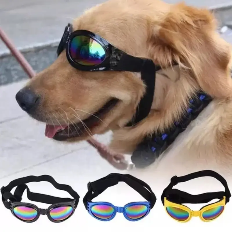 Gafas para Mascotas