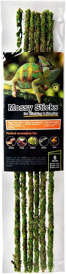 Galápagos (05320) Mossy terrario de incienso (6 Pack), 18"