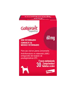 Galliprant 60 mg 30 Comprimidos/Tabletas Orales TEMPORALMENTE AGOTADO