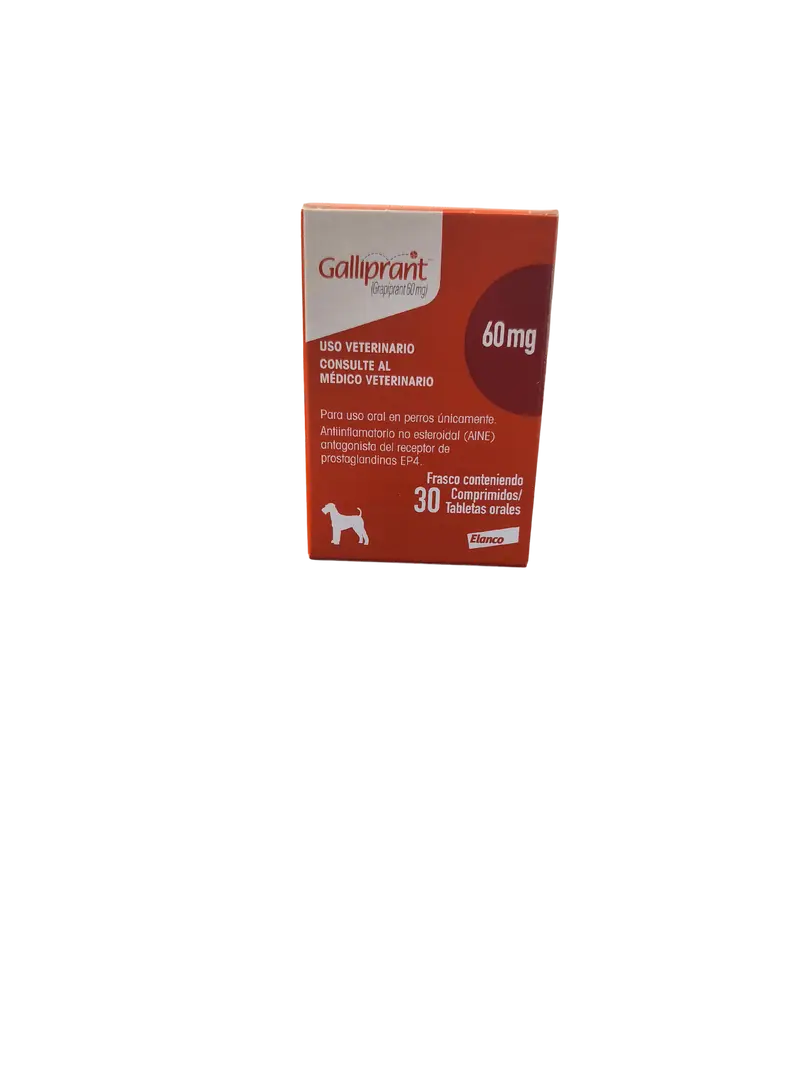 GALLIPRANT 60 mg x 30 Tab