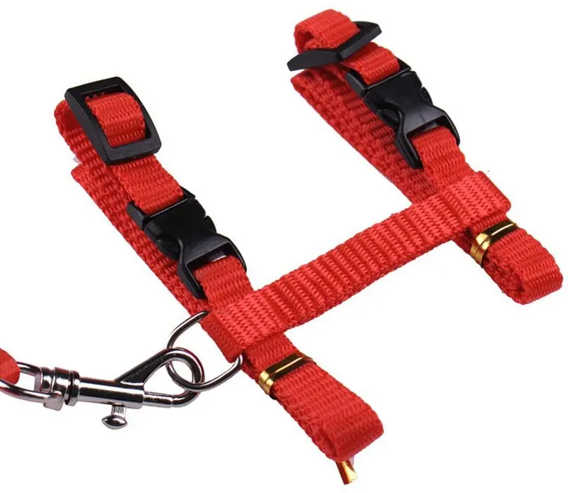Gato Arnés y Correa Ajustable Cuello Nylon Azul, Rojo y 1 2 Pack perro One Size Fits All