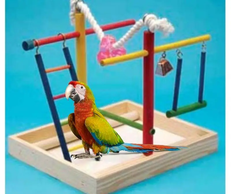 Gimnasio para Periquitos y Agapornis