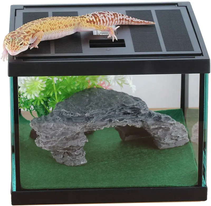 Glass Tank Spider Box Kit for Tarantula Feeder Insects Beetle Amphibians Terrarium Small pet,Washable mat,Resin Rock Shape Hideout, Artificial Flower