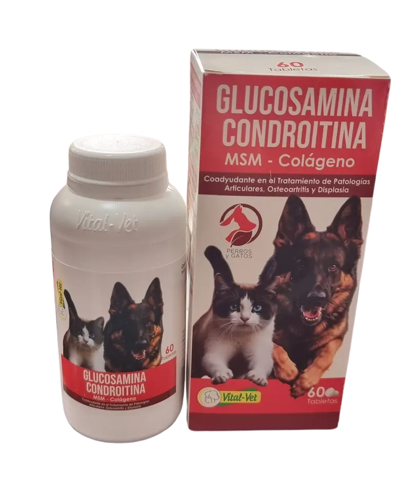 GLUCOSAMINA CONDROITINA COLAGENO Y MSM X 60 COMPRIMIDOS