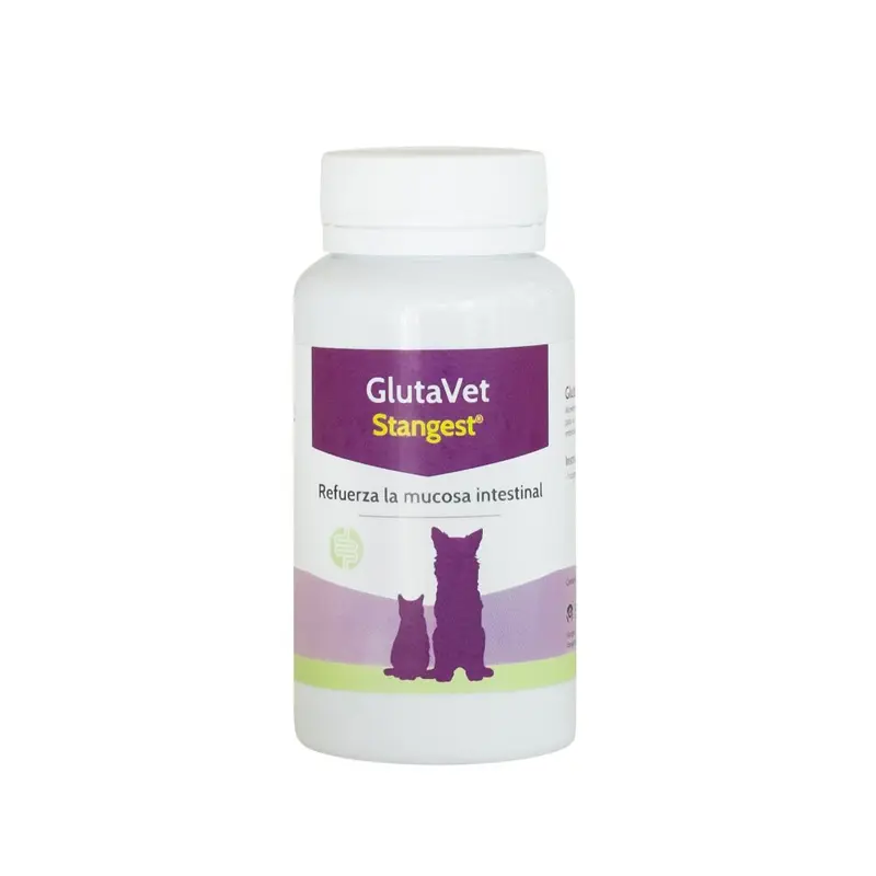 Glutavet (60 comp.) – Cantabria Labs (Stangest)