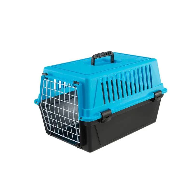 Guacal Atlas 10 Azul
