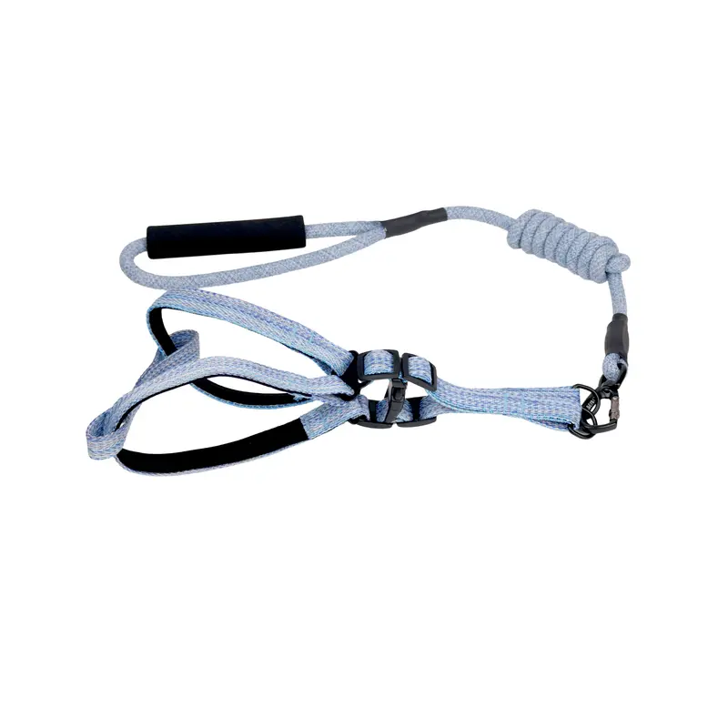 Guia y Pechera Azul 10Mm-120Cm