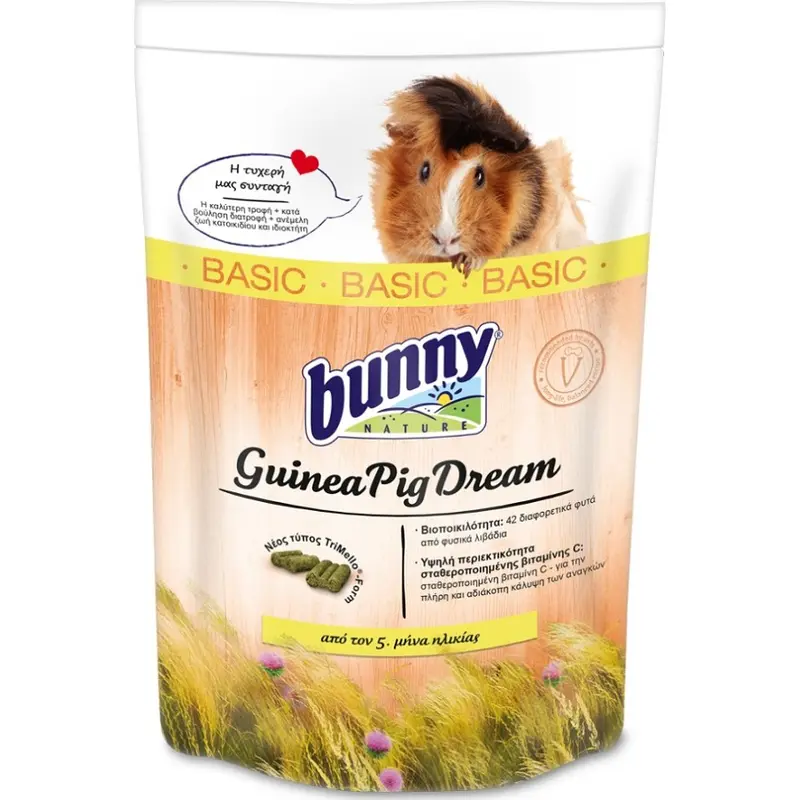 Guinea Pig Dream Basic 750gr