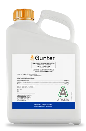 Gunter Gfa x 5L
