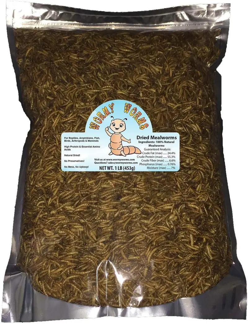 Gusanos de comida secos y 50 gusanos libres para reptiles, peces, pájaros, pollos y mamíferos, etc.