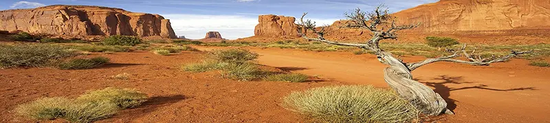 Habitat Reptil; Monument Valley con árbol, de fondo para 36 x 18 x 18 terrario, 3-sided Wraparound