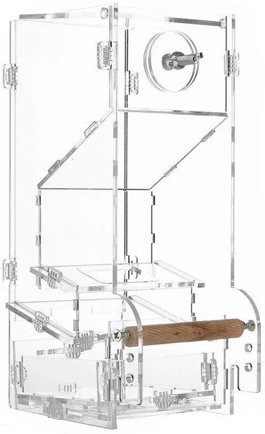 Hamiledyi - Comedero automático integrado para pájaros sin ensuciar, con perca, accesorios para Budgerigar, Canario, Cockatiel, Finch, Parakeet, Seed Food Container