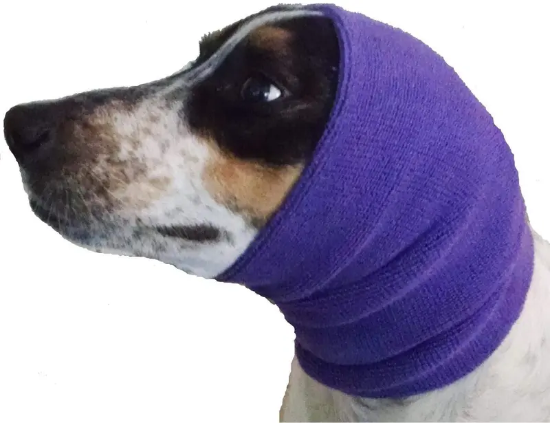 Happy Hoodie Large Purple